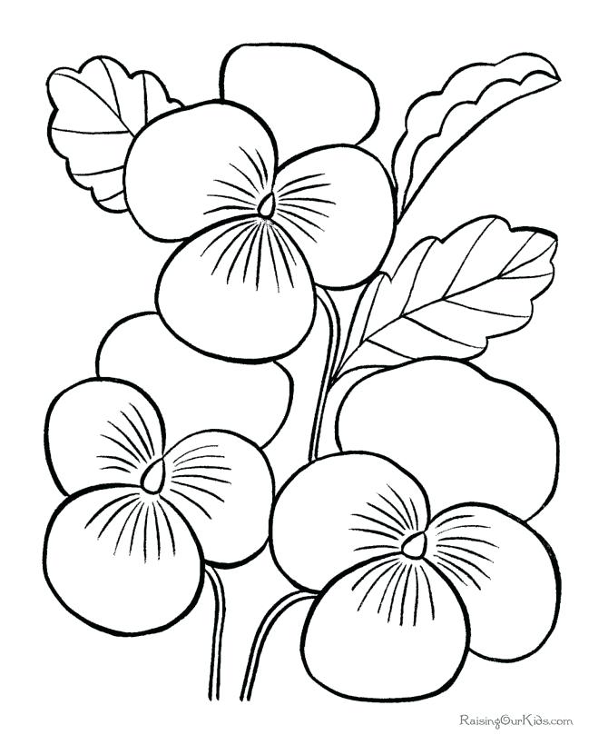 Easy Printable Coloring Pages Winsome Easy Printable Flower 670x820 Easy Printable Coloring Pages Winsome Easy Printable Flower