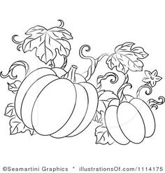 236x247 Pumpkin Easy Thanksgiving Coloring Pages Printables Holidays