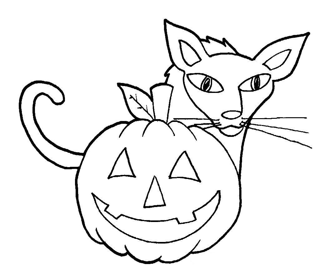 1034x882 Easy Halloween Cat And Pumpkin Coloring Pages For Kindergarten