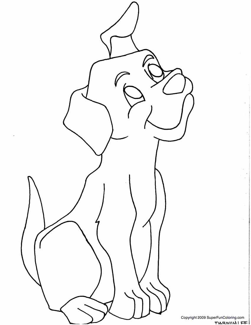 Puppy Coloring Pages 5 Full.jpg Find Creative Coloring Pages 850x1100 Puppy Coloring Pages 5 Full.jpg Find Creative Coloring Pages