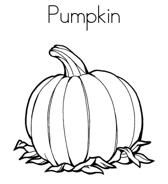 Pumpkin Picture To Color Pumpkin Color Pages Printable Pumpkin 685x749 Pumpkin Picture To Color Pumpkin Color Pages Printable Pumpkin