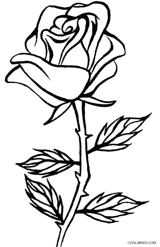 Easy To Draw Coloring Pages at GetColorings.com | Free printable ...