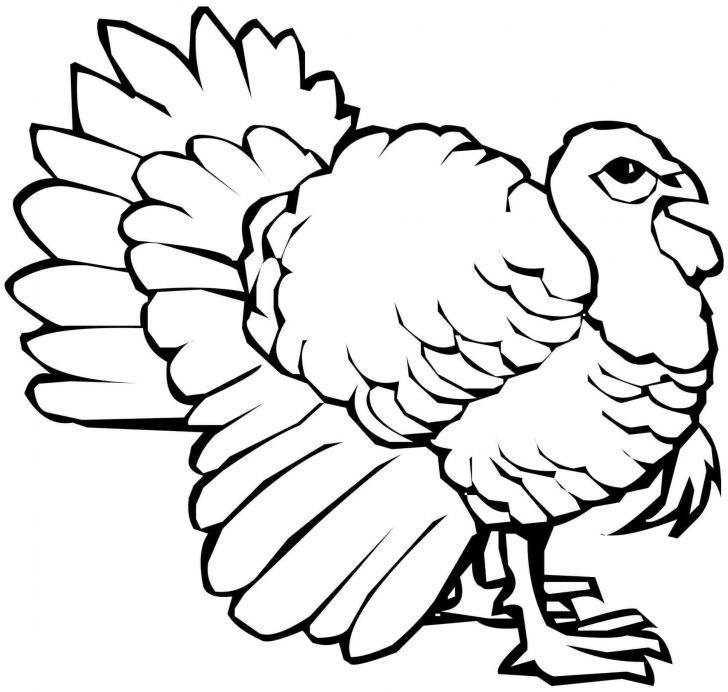 728x692 Coloring Book And Pages 40 Turkey Coloring Page Picture