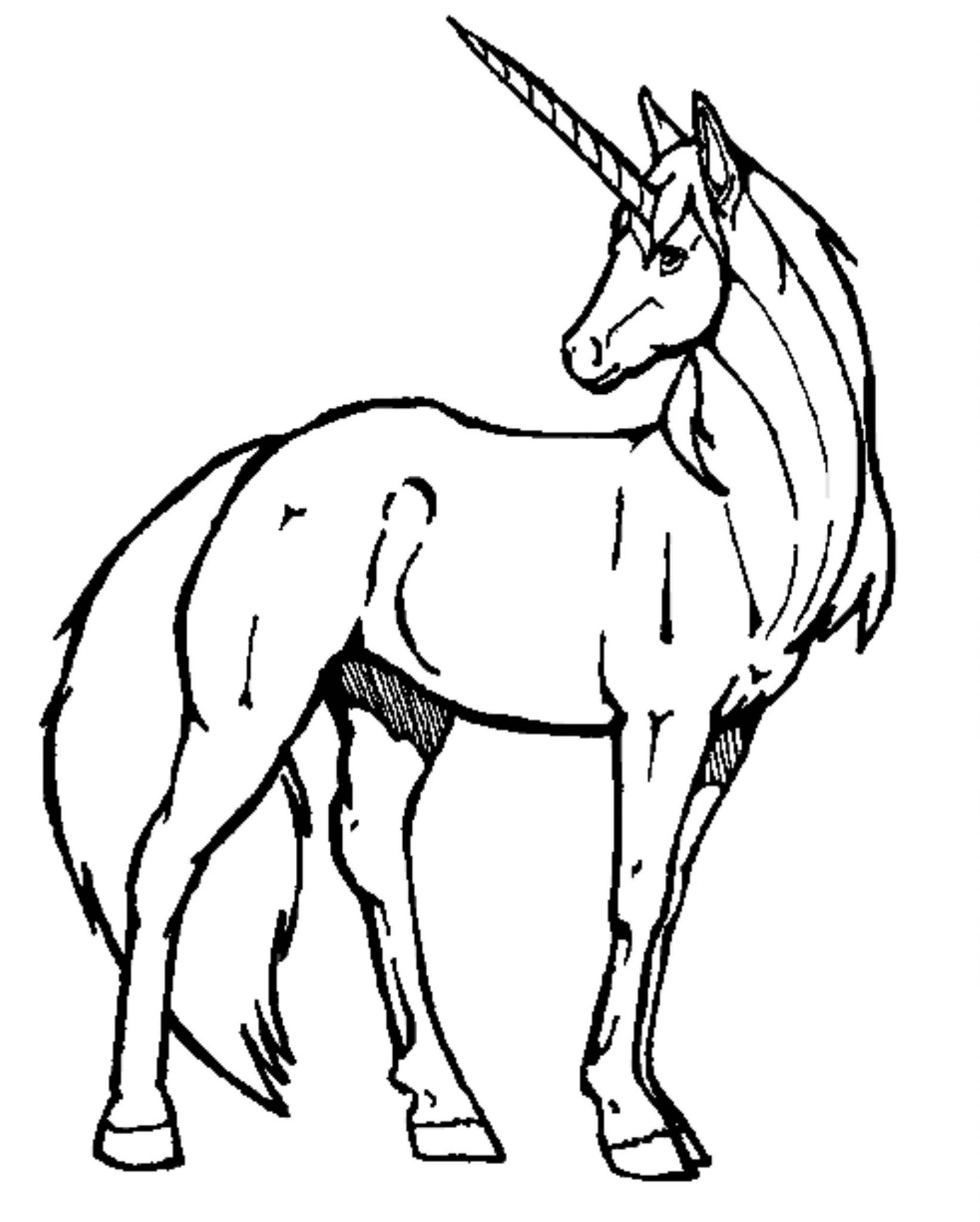Easy Unicorn Coloring Pages 1643x2048 Easy Unicorn Coloring Pages