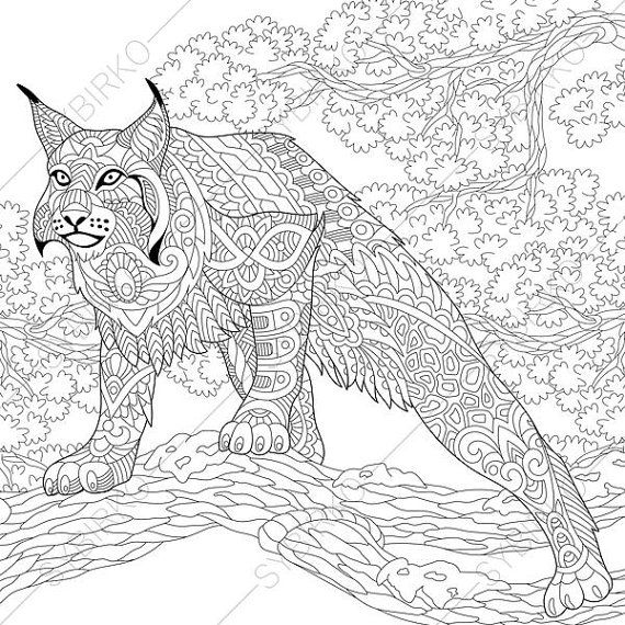 570x570 Adult Coloring Pages. Wildcat. Zentangle Doodle Coloring Book Page