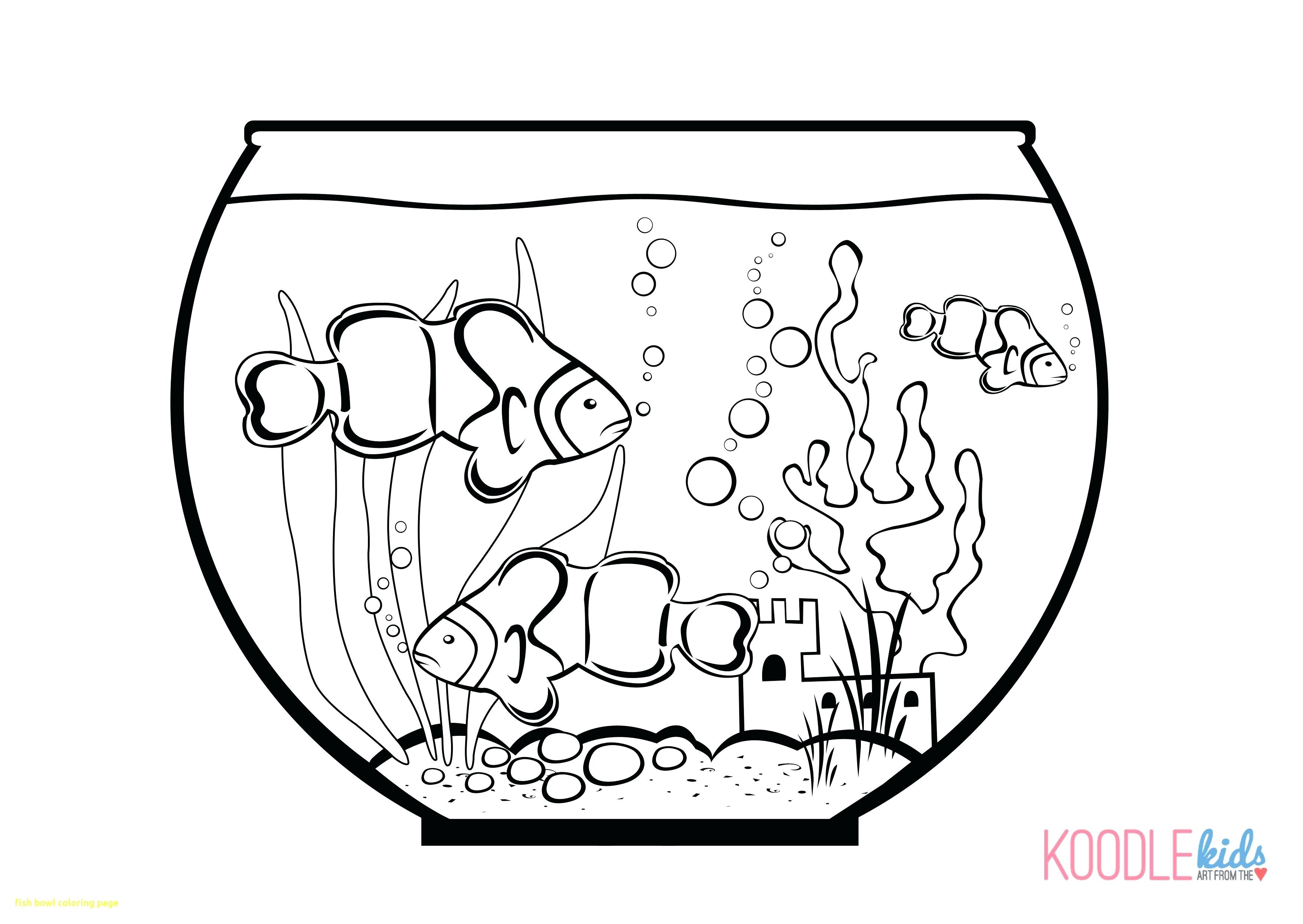 Luxury Empty Fish Tank Coloring Page Bowl With Awesome Sheet Pages 3510x2490 Luxury Empty Fish Tank Coloring Page Bowl With Awesome Sheet Pages
