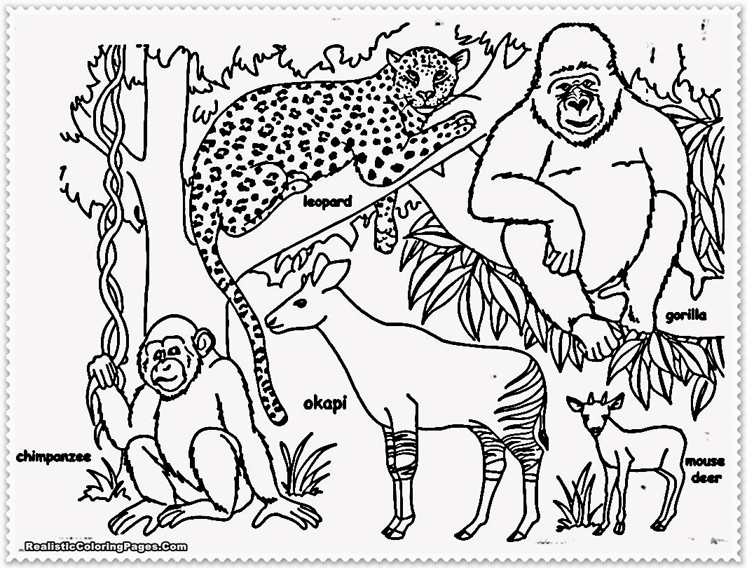 Jungle Animal Coloring Pages Printable 1066x810 Jungle Animal Coloring Pages Printable