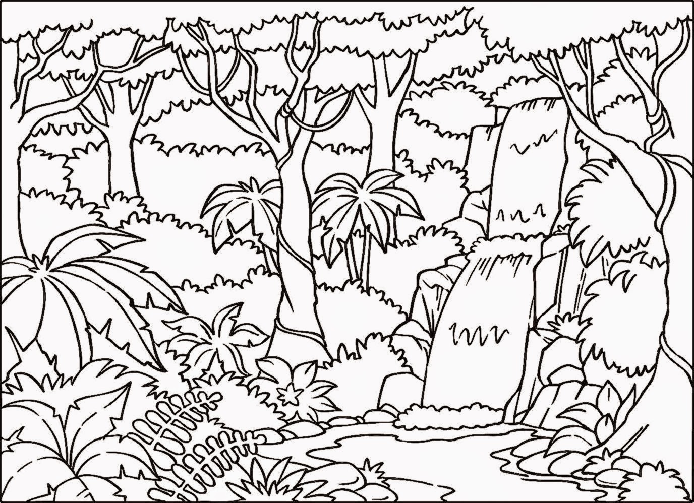 Rainforest Coloring Pages With Page Of 1 At 7 1376x998 Rainforest Coloring Pages With Page Of 1 At 7