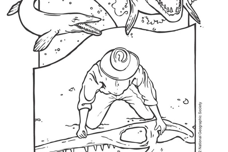 Coloring Pages 800x532 Coloring Pages