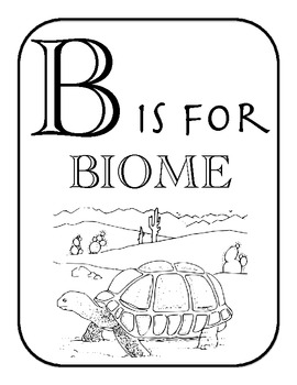 E Is For Ecosystem Alphabet And Vocabulary Coloring Pages By Teachbig 270x350 E Is For Ecosystem Alphabet And Vocabulary Coloring Pages By Teachbig