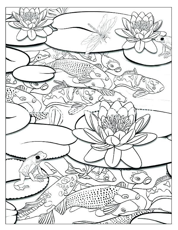 Ecosystem Coloring Pages Pond Coloring Pages Pond Coloring Page 600x776 Ecosystem Coloring Pages Pond Coloring Pages Pond Coloring Page