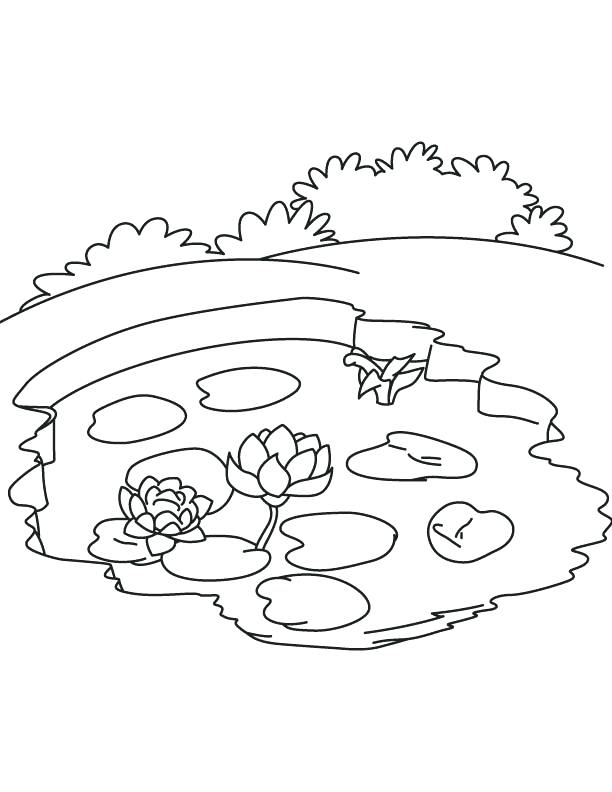 Best Of Ecosystem Coloring Pages Images Water Lily In Pond 612x792 Best Of Ecosystem Coloring Pages Images Water Lily In Pond