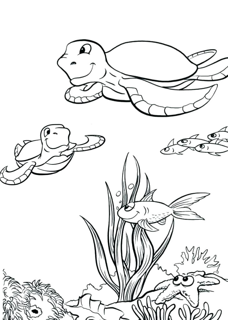 Ocean Habitat Coloring Pages Printable Sea Animals 730x1024 Ocean Habitat Coloring Pages Printable Sea Animals