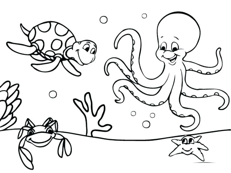 Ocean Scene Coloring Page Ocean Scene Coloring Page Ocean 736x552 Ocean Scene Coloring Page Ocean Scene Coloring Page Ocean