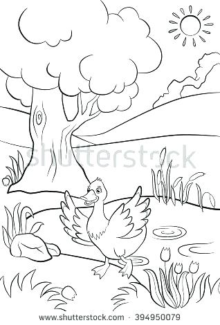 Pond Coloring Pages Pond Animals Coloring Pages Pond Coloring Page 318x470 Pond Coloring Pages Pond Animals Coloring Pages Pond Coloring Page