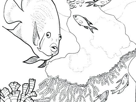 Coral Reef Coloring Pages Coral Reef Coloring Pages Coral Reef 440x330 Coral Reef Coloring Pages Coral Reef Coloring Pages Coral Reef