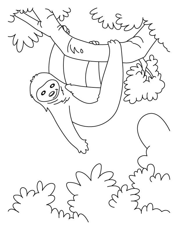 612x792 24 Free Sloth Coloring Pages To Print Out Animals Coloring Pages