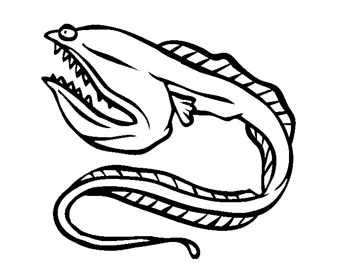 Eel Coloring Page