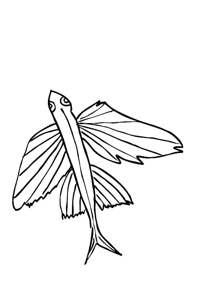 750x1000 Eel Coloring Page Flying Fish Coloring Pages 1 Moray Eel Coloring