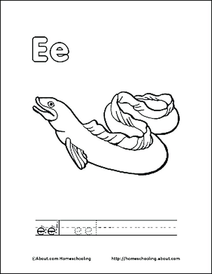 735x951 Eel Coloring Page Letter E Coloring Book Free Printable Pages