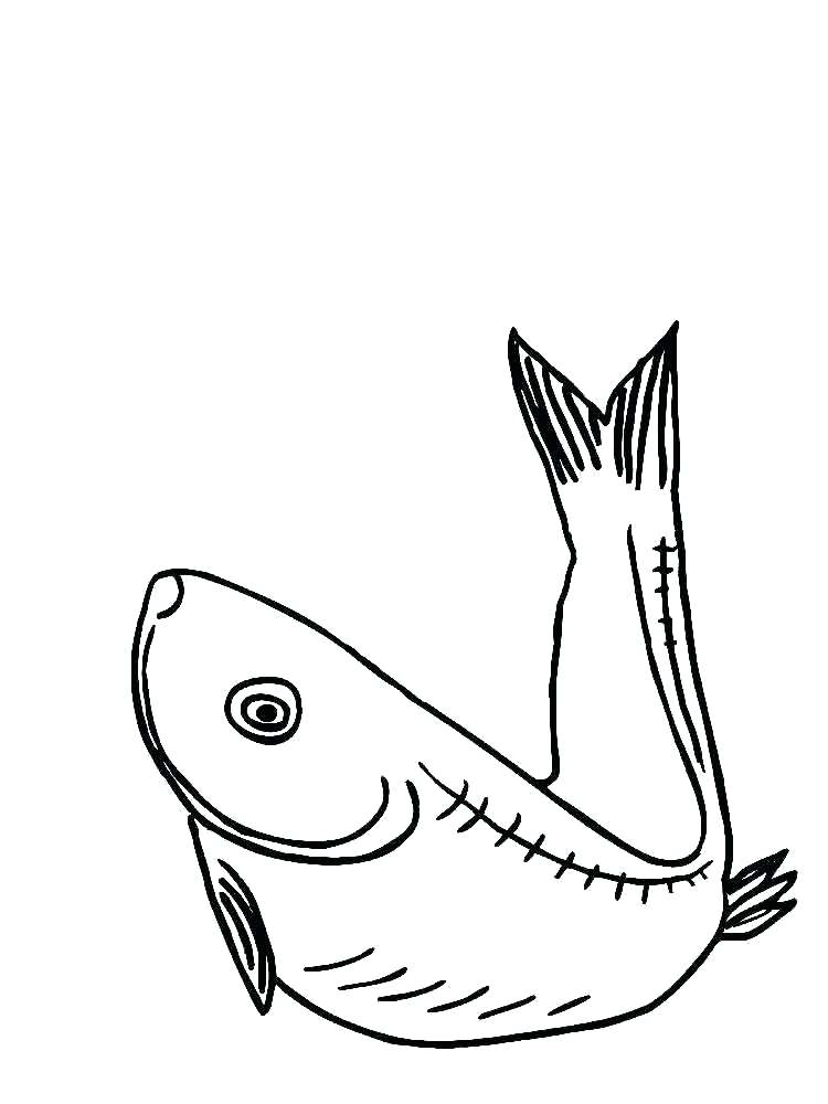 750x1000 Eel Coloring Page