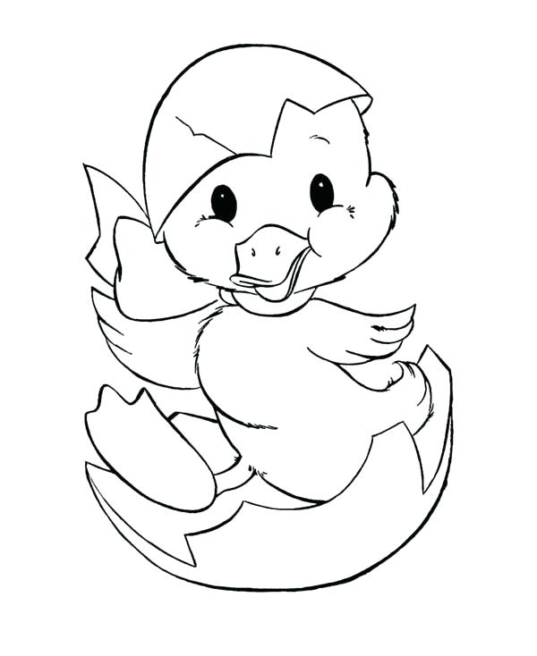 Egg Coloring Pages Duckling Just Hatching From Egg Coloring Page 600x734 Egg Coloring Pages Duckling Just Hatching From Egg Coloring Page