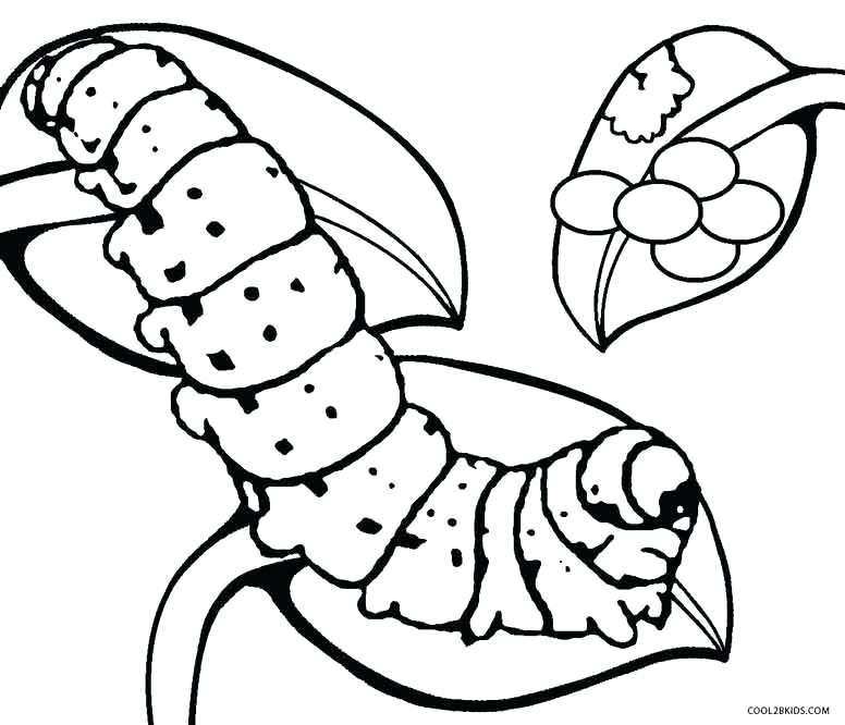 Egg Coloring Pages Caterpillar Egg Coloring Pages Egg Hunt 776x666 Egg Coloring Pages Caterpillar Egg Coloring Pages Egg Hunt