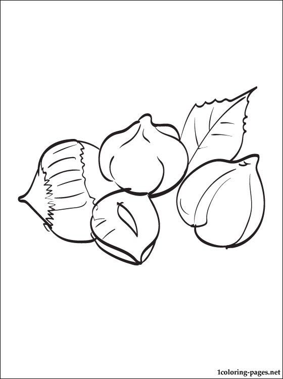 560x750 Seafood Coloring Pages