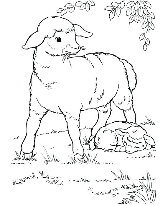 570x697 Eid Coloring Pages Coloring Pages Eid Al Fitr Coloring Pages