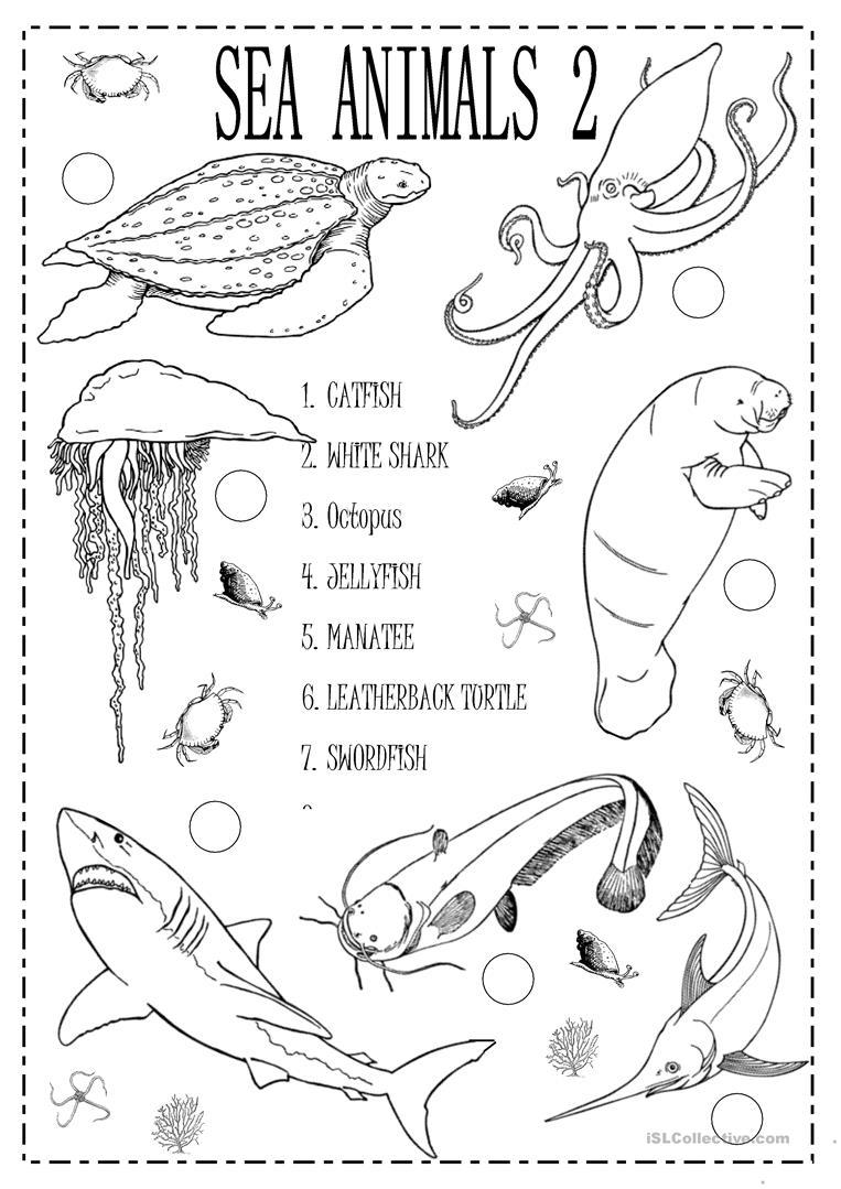 763x1079 The Best Esl Sea Worksheets Of Animal Coloring Pages Concept
