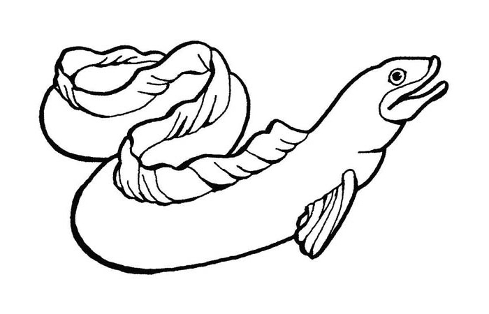 Sea Creature Templates 700x450 Sea Creature Templates