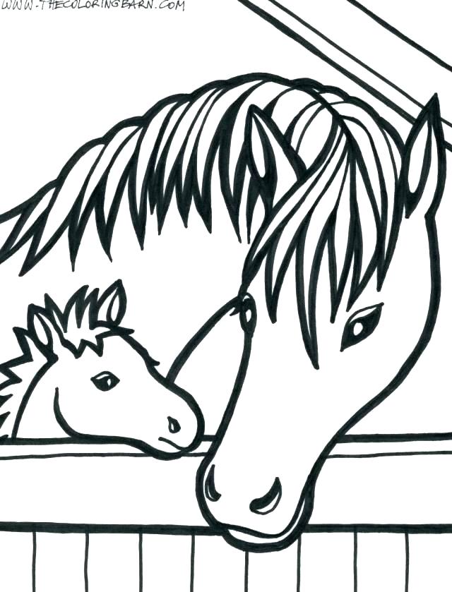 Eel Coloring Pages 640x839 Eel Coloring Pages