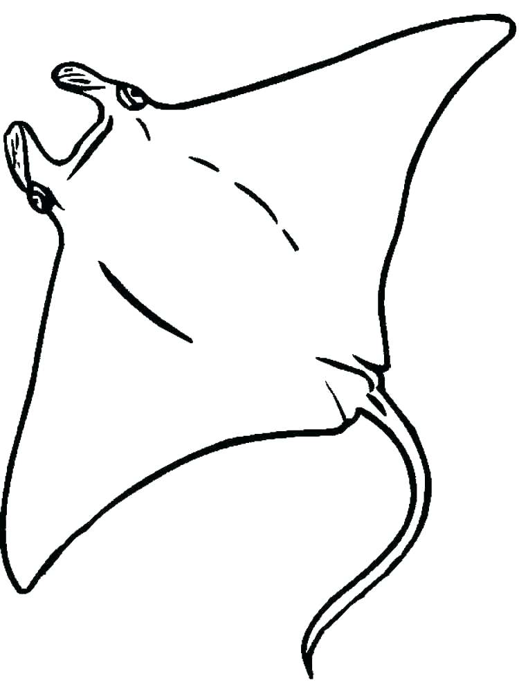 Electric Eel Color Eel Coloring Pages Click To See Printable 750x1000 Electric Eel Color Eel Coloring Pages Click To See Printable