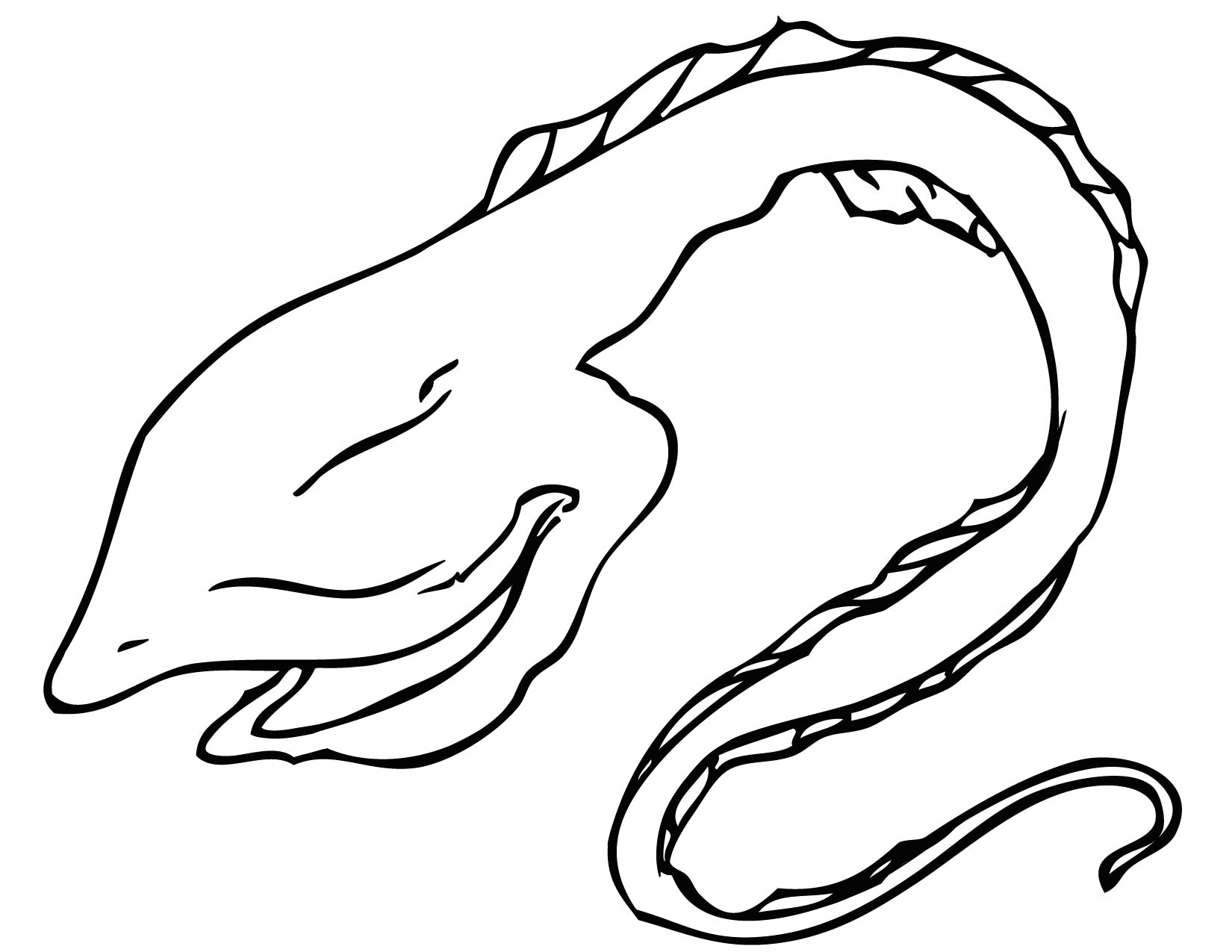 Eel Coloring Pages Printable Coloring Pages
