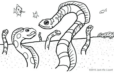 Eel Coloring Page Eel Coloring Pages Coloring Trend Thumbnail Size 450x303 Eel Coloring Page Eel Coloring Pages Coloring Trend Thumbnail Size