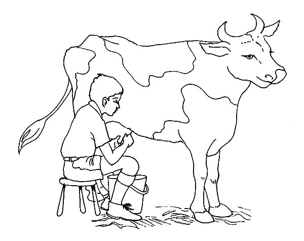 600x475 Veterinarian Coloring Page Veterinarian Coloring Pages A Boy