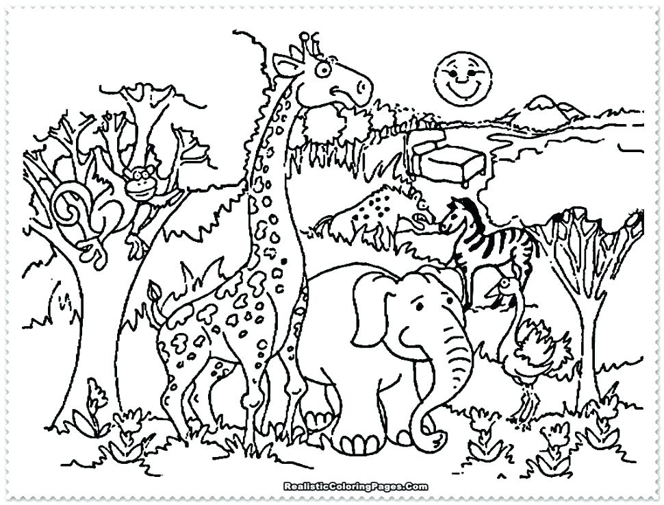 970x737 Coloring Page Animals Animal Coloring Sheets For Pages Fact Cute