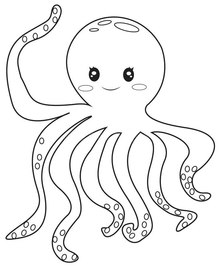 Octopus Coloring Page Download Octopus Coloring Page Stock 747x900 Octopus Coloring Page Download Octopus Coloring Page Stock