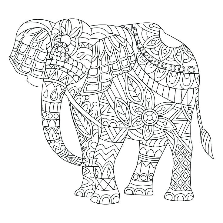 736x736 Coloring Page Elephant Coloring Page Elephant Coloring Pages