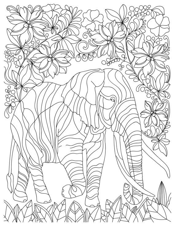 570x736 Elephant Animal Adult Coloring Book Stress Relieving Patterns By
