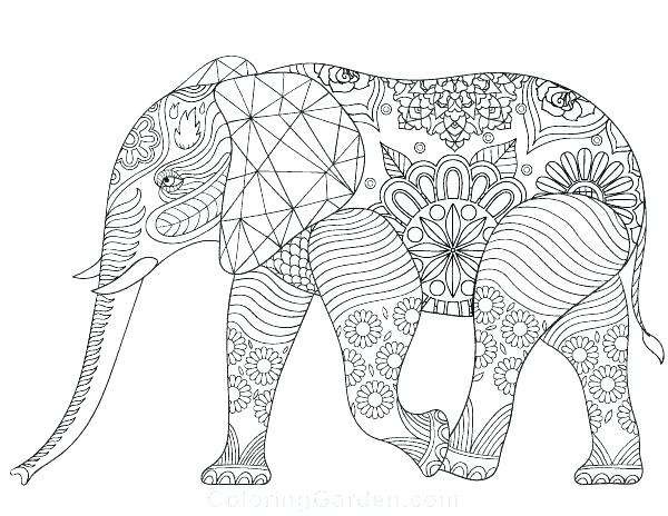 600x464 Coloring Pages Of Elephants