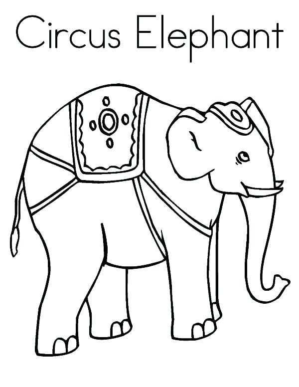 600x776 Elephant Color Page Cute Baby Elephant Coloring Outline Pages