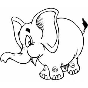 300x300 Free Printable Coloring Pages Elephant