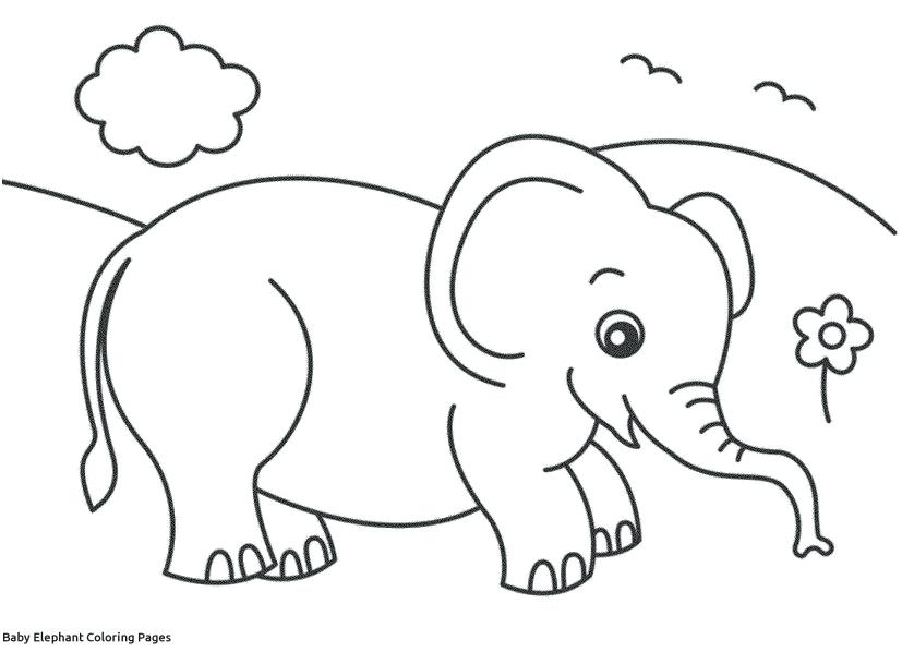 Elephant Cartoon Coloring Pages at GetColorings.com | Free printable ...