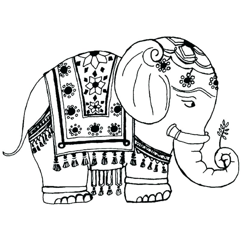 800x800 Coloring Pages Elephant Coloring Pages Elephant Coloring Pages Pin