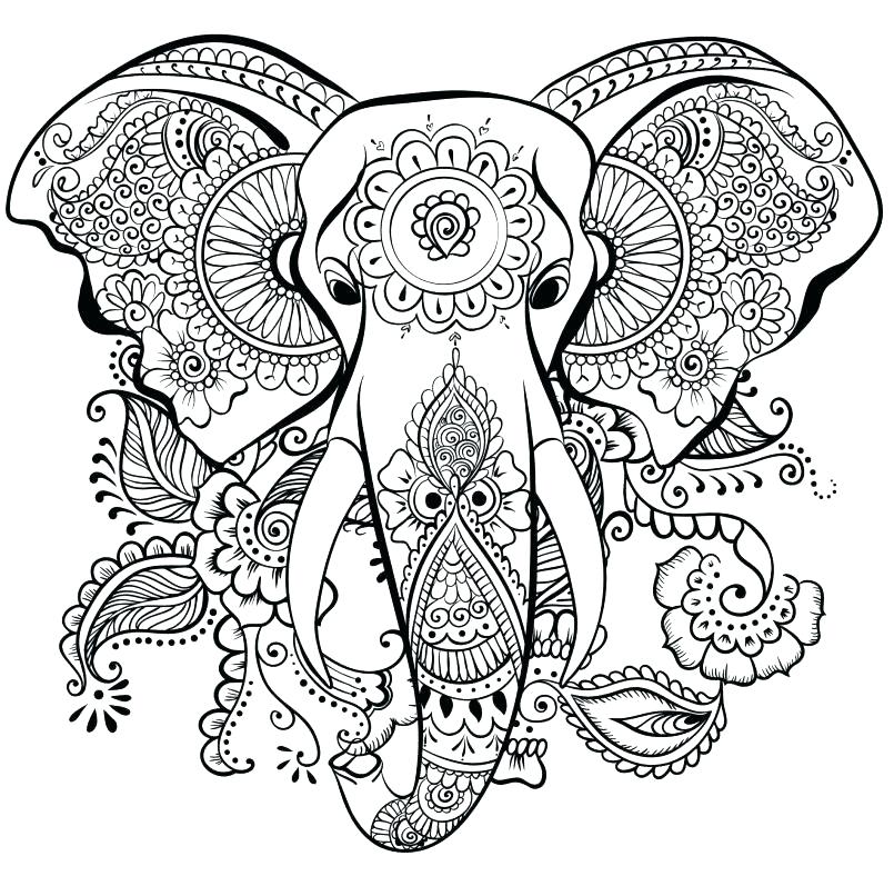 805x806 Elephant Coloring Page Elephant Coloring Pages Coloring Pages