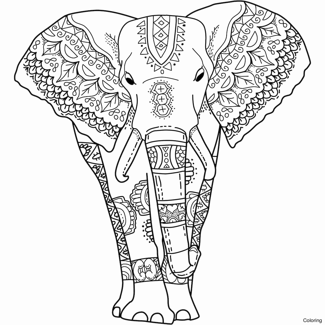 Coloring Page Elephant Color Page Splendid Coloring Stock Vector 1100x1100 Coloring Page Elephant Color Page Splendid Coloring Stock Vector