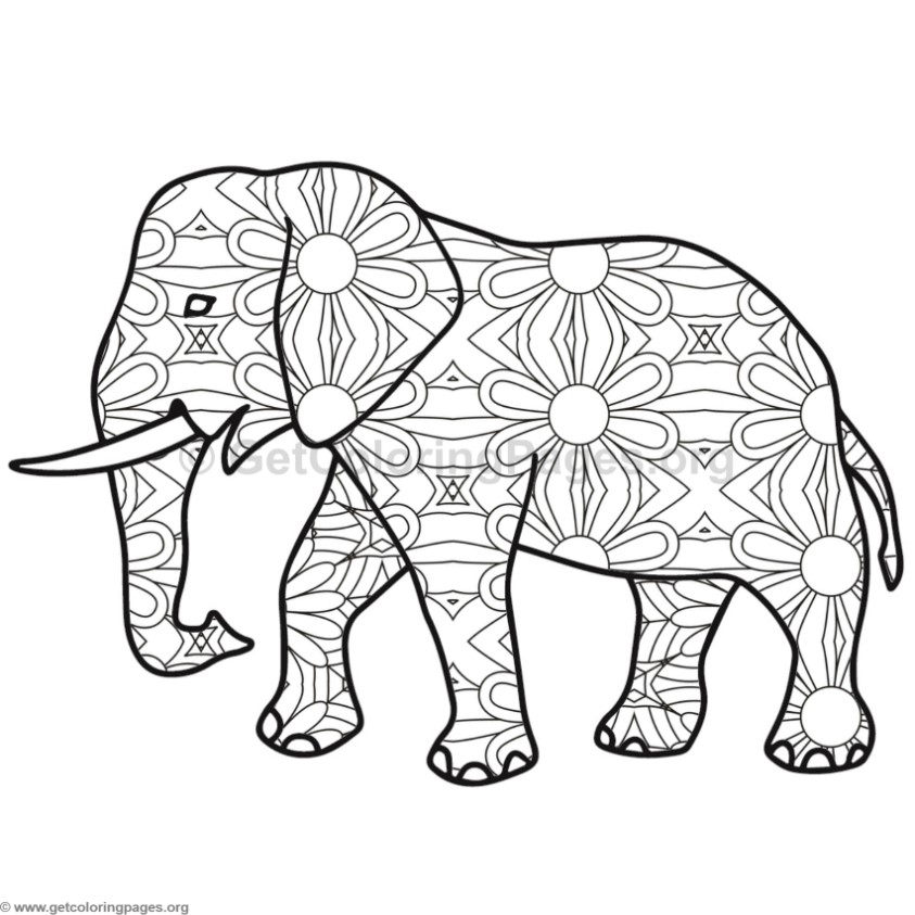 Elephant Coloring Pages 843x843 Elephant Coloring Pages