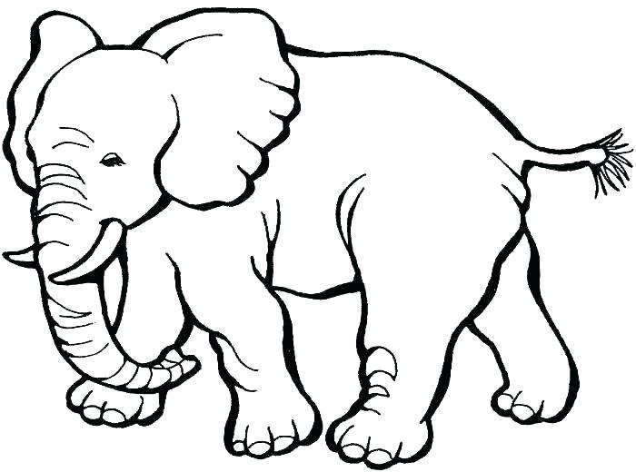 Elephant Coloring Pages For Adults at GetColorings.com | Free printable ...