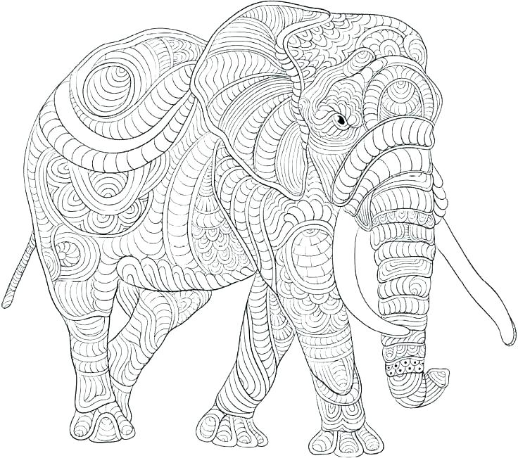 Elephant Coloring Pages Advanced Elephant Coloring Pages Elephant 736x651 Elephant Coloring Pages Advanced Elephant Coloring Pages Elephant